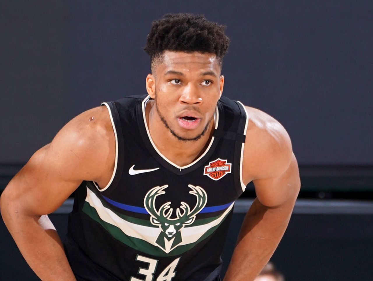 励的朋友 励的朋友