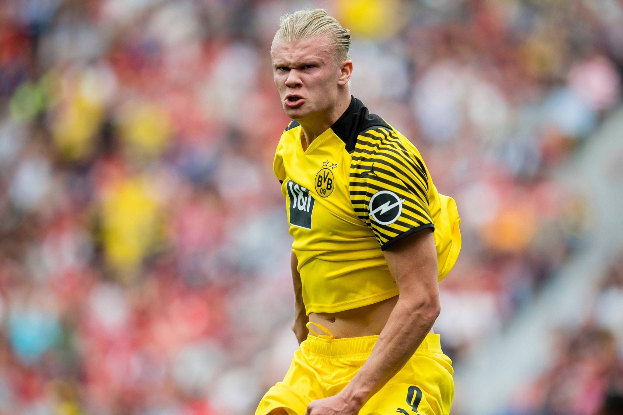 新版本强调 新版本强调