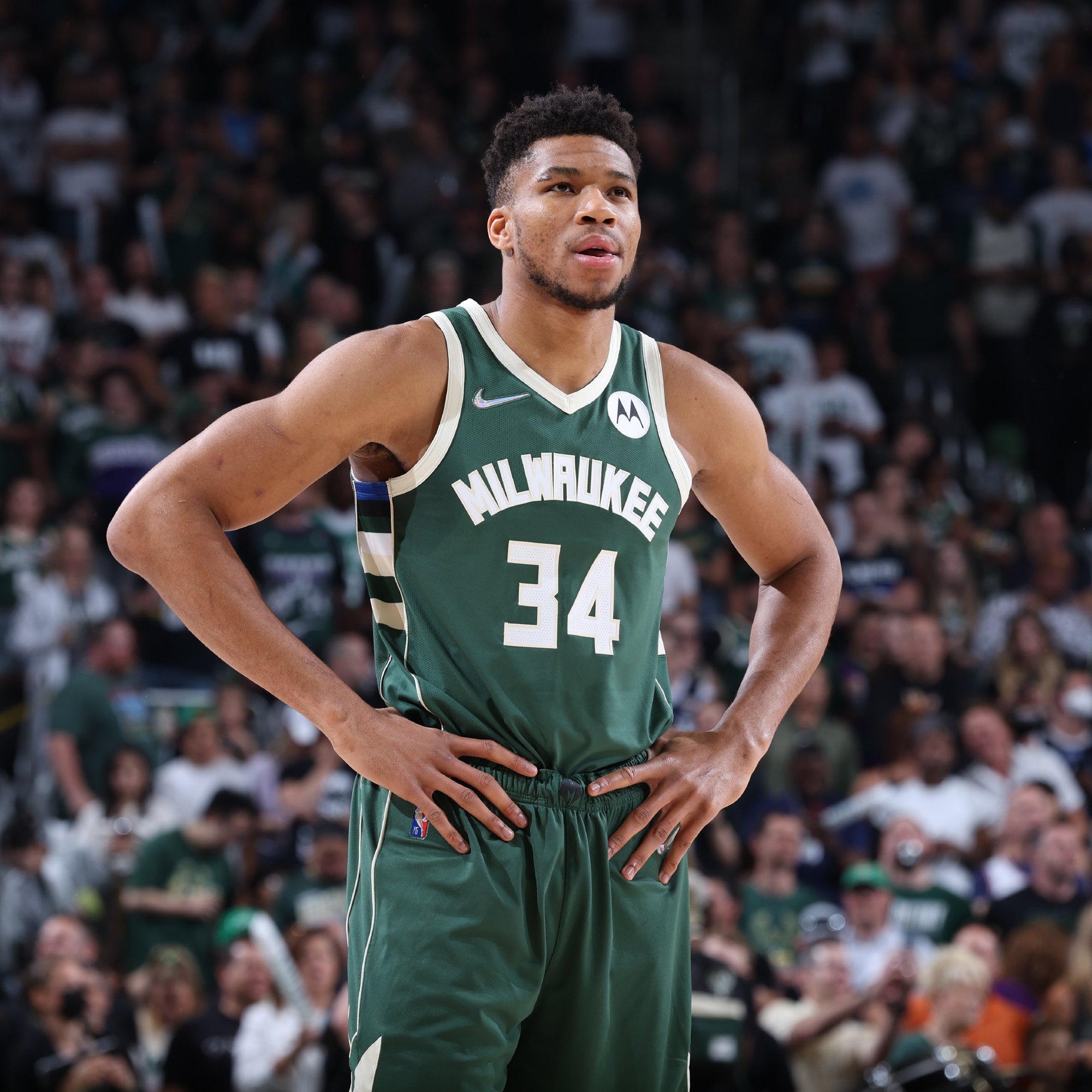 不可忽视 不可忽视