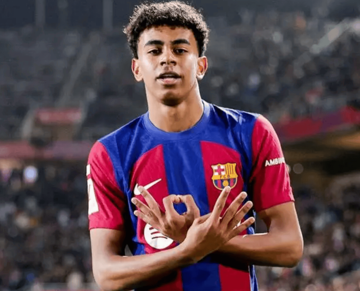 但不得把某 但不得把某